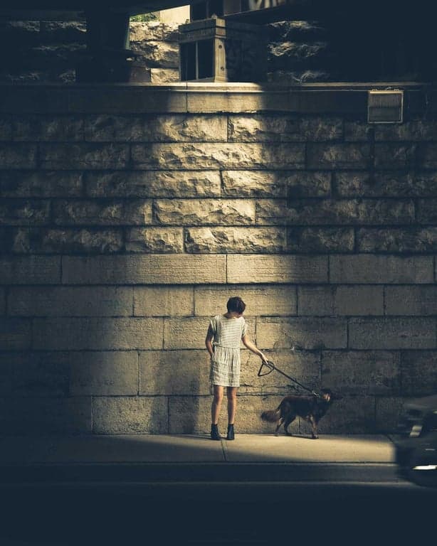3am, empty street, one very unbothered fox just out of frame. #nightshift